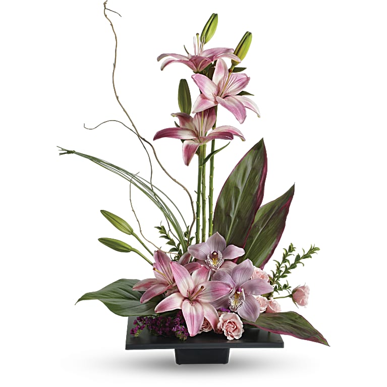 Imagination Blooms with Cymbidium Orchids
