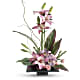 Imagination Blooms with Cymbidium Orchids