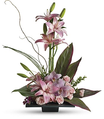 Imagination Blooms with Cymbidium Orchids Flowers