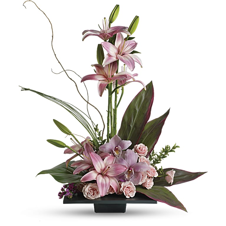 Imagination Blooms with Cymbidium Orchids