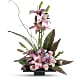 Imagination Blooms with Cymbidium Orchids
