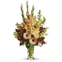 Gladiolus bouquet store