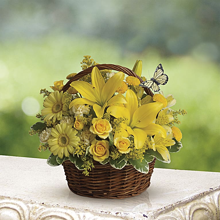 Basket Full of Wishes