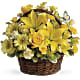 Basket Full of Wishes