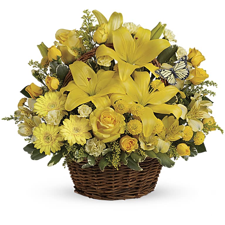 Basket Full of Wishes