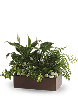 Teleflora's Quiet Expressions