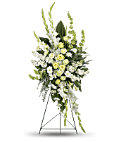 Magnificent Life Spray