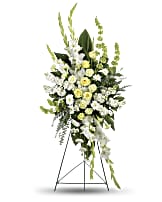Magnificent Life Spray