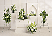 Teleflora's Tranquil Peace Collection Flowers