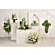 Tranquil Peace Collection