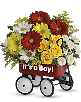 Top-Selling Baby Gift. Red, Yellow & White Blooms Incl. Red Mini Gerberas & Yellow Spray Roses. Same Day Flower Delivery. Teleflora Baby's Wow Wagon.