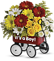 Baby's Wow Wagon by Teleflora - Boy Flowers