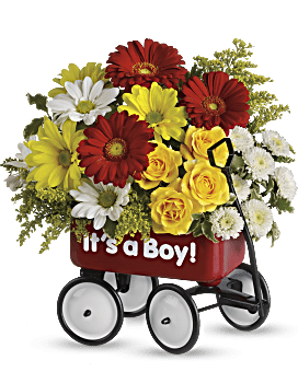 Baby's Wow Wagon by Teleflora - Boy
