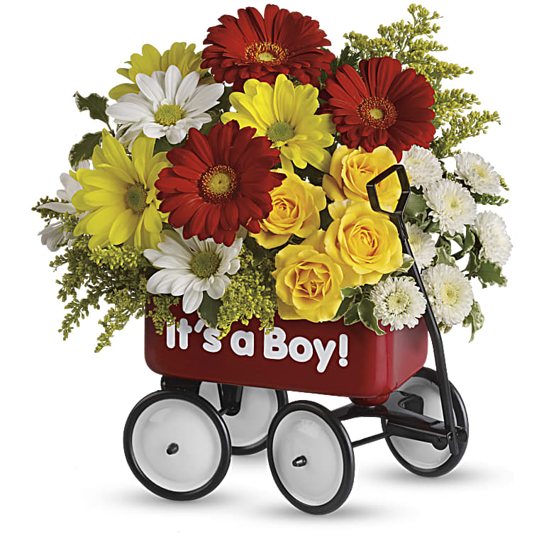 Baby's Wow Wagon  - Boy