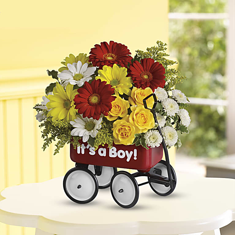 Baby's Wow Wagon  - Boy