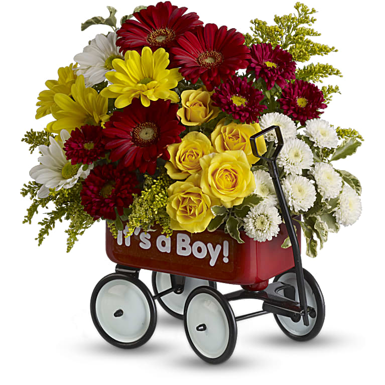 Baby's Wow Wagon  - Boy
