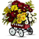 Baby's Wow Wagon  - Boy