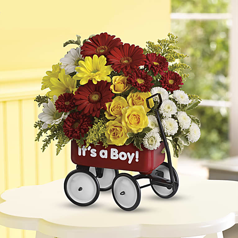 Baby's Wow Wagon  - Boy