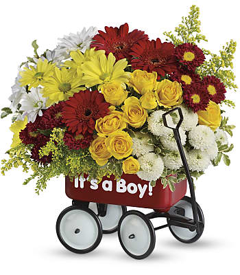 Baby's Wow Wagon by Teleflora - Boy Flowers