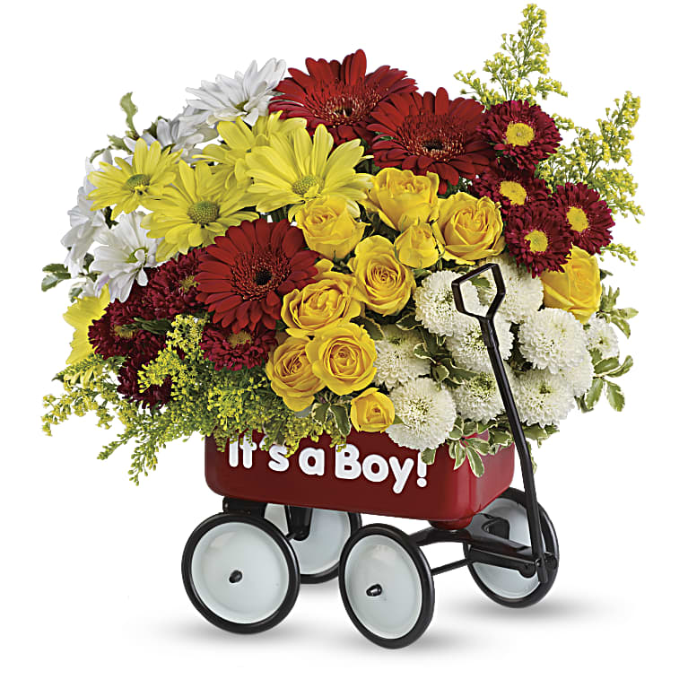 Baby's Wow Wagon  - Boy