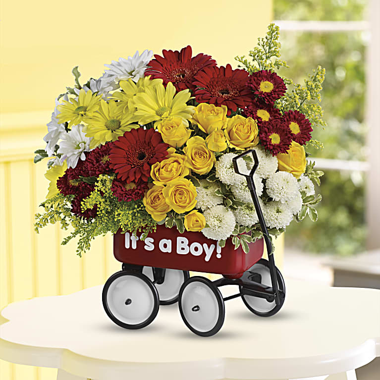 Baby's Wow Wagon  - Boy