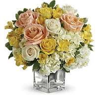 List of Non-Toxic, Pet Friendly Plants & Flowers | Teleflora