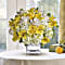 Teleflora's Sweetest Sunrise Bouquet Flower Arrangement 