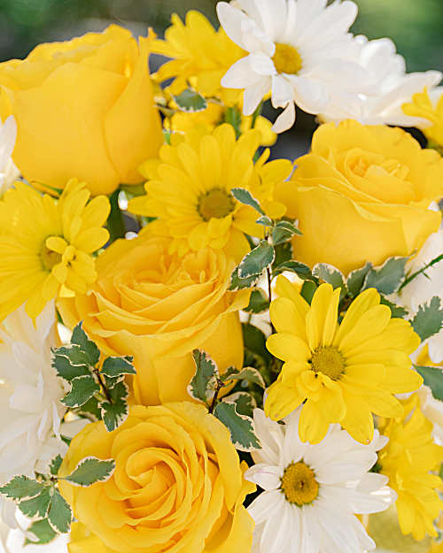 Teleflora's Be Happy® Bouquet with Roses - Teleflora