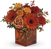 Orange flowers in orange cube vase