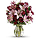 Lavish Love Bouquet with Long Stemmed Red Roses