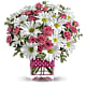 Polka Dots and Posies