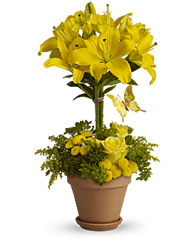 Yellow Fellow Bouquet