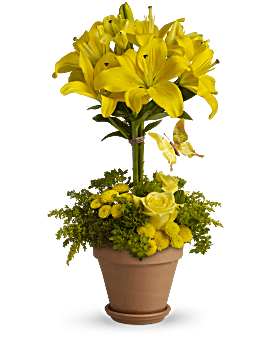 Bouquet Éclat jaune