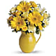 Sunny Day Pitcher of Cheer