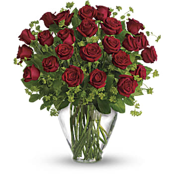 My Perfect Love - Long Stemmed Red Roses