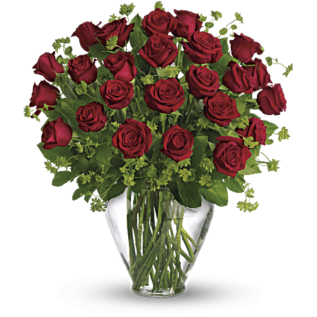My Perfect Love - Long Stemmed Red Roses