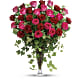 Dreaming in Pink - Long Stemmed Pink Roses