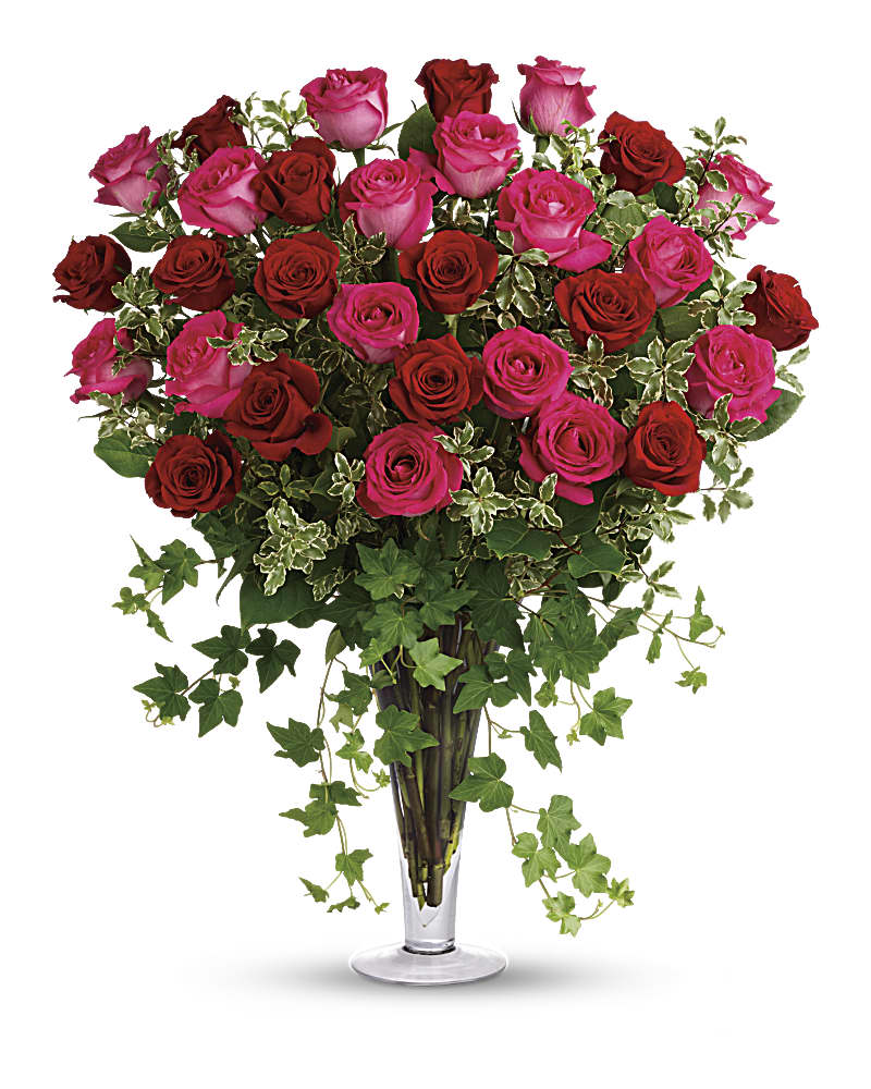 Teleflora's Rose Classique - Dozen Red Roses Bouquet - Teleflora