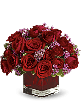 Never Let Go by Teleflora - 18 Red Roses Bouquet