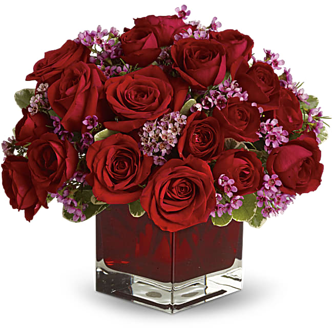 Never Let Go by Teleflora - 18 Red Roses