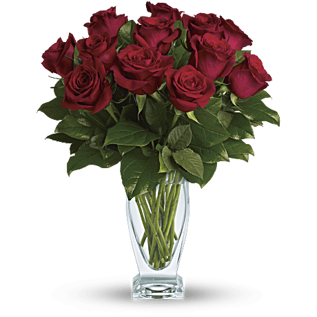 Teleflora's Rose Classique - Dozen Red Roses