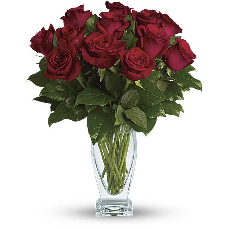 Rose Classique - Dozen Red Roses