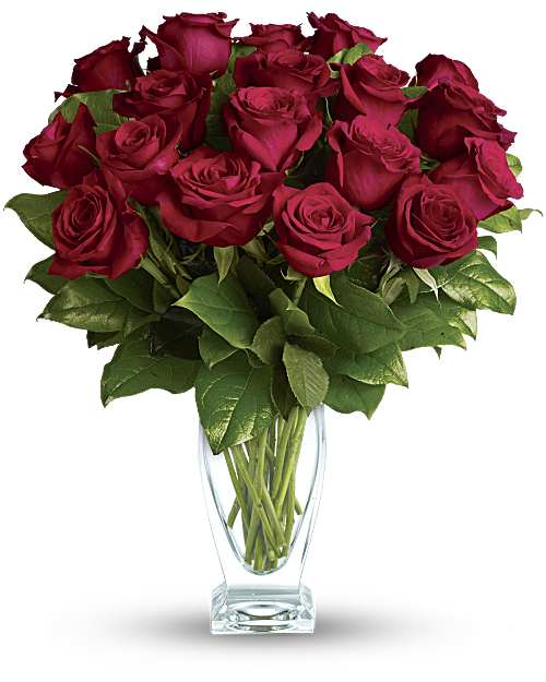 Red | Roses | Rose Classique | Same Day Flower Delivery by Teleflora