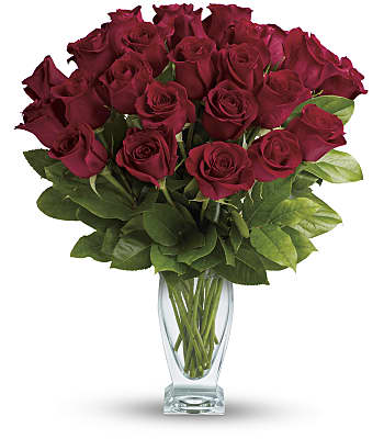 Teleflora's Rose Classique - Dozen Red Roses Flowers