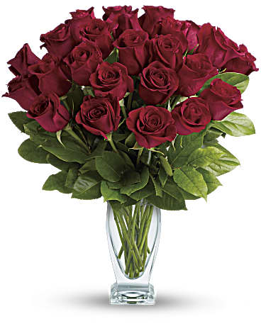 Luxury One Dozen Red Roses Bundle at From You Flowers