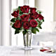 Kiss of the Rose