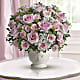 Parisian Pinks with Roses