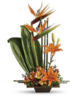 Exotic Grace , Mixed Bouquets , Same Day Flower Delivery , Orange , Teleflora