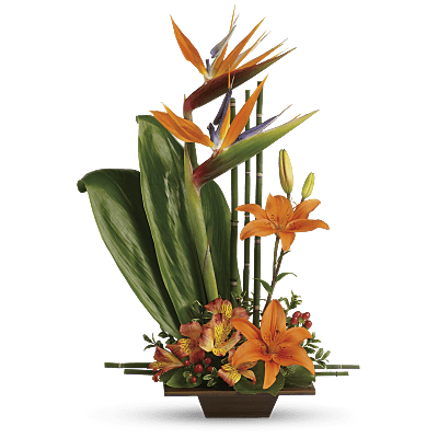 Grâce exotique de Teleflora