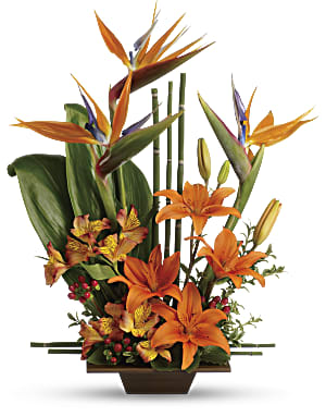 Shop Teleflora's Exotic Grace flower arrangment